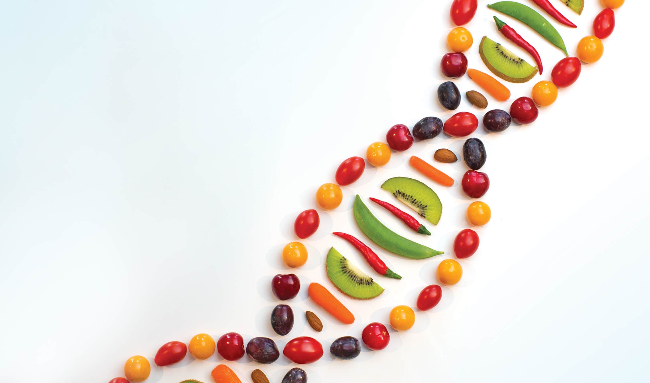 A gene helix made up of various foods.