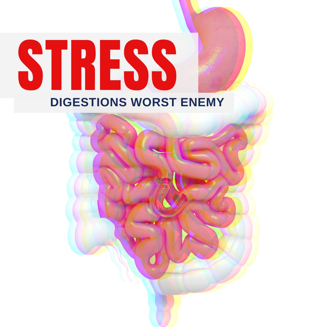 Stress, digestions worst enemy